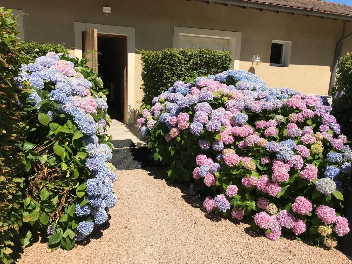 Auberge Les Hauts De Chenas Екстер'єр фото