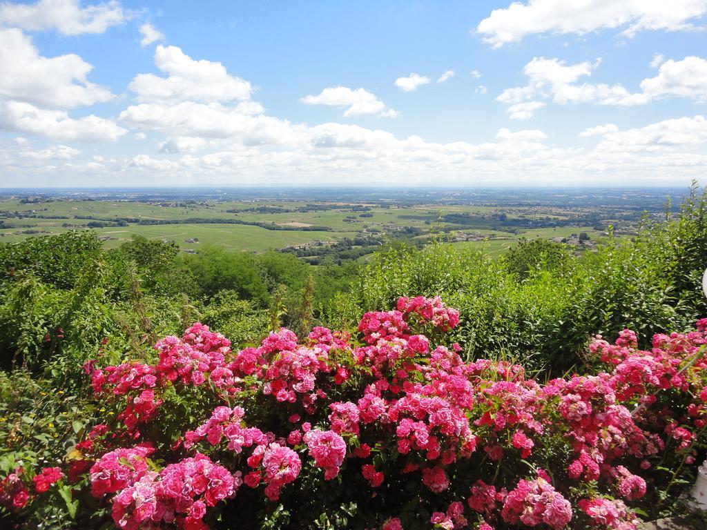 Auberge Les Hauts De Chenas Екстер'єр фото