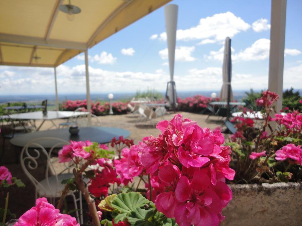 Auberge Les Hauts De Chenas Екстер'єр фото