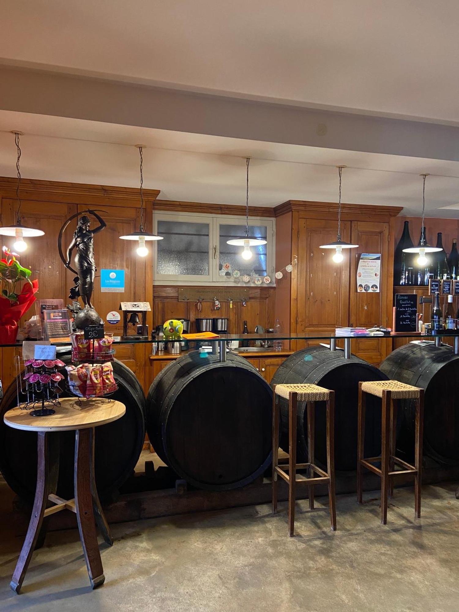 Auberge Les Hauts De Chenas Екстер'єр фото